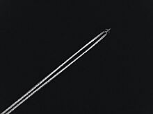 Путешествия в бизнес-классе любят тишину: чиновницу из Роспотребнадзора могут уволить за дорогие перелеты