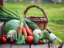 «Мираторг» готовится открыть экспортные поставки овощей