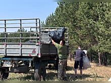 Берега озера Делюн очистили от мусора