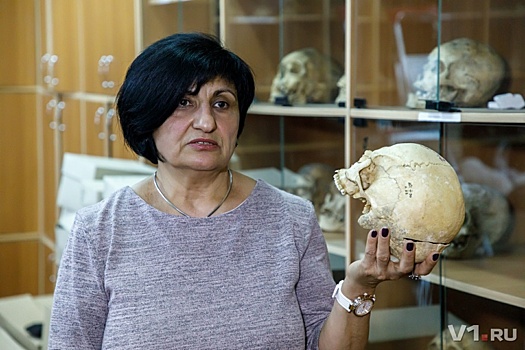 «Я узнаю его по черепу»: В Волгограде работает лучший в России специалист по древним скелетам