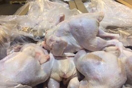 Опасное для здоровья мясо птицы привезли в Красноярск из Санкт-Петербурга