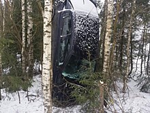В Тверской области автомобиль улетел в кювет, машину остановили деревья