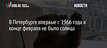 В Петербурге впервые с 1966 года в конце февраля не было солнца