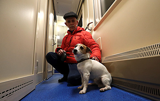 ФПК изменила порядок действий при обнаружении животных без владельцев в поездах