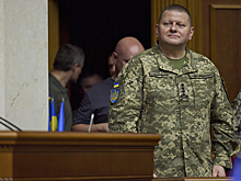 Предвыборная лихорадка на Украине: Залужный, Усик и Буданов* бросают вызов Зеленскому