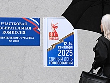 Как проголосовать на выборах в 2025 году: разобрали все способы