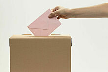 Пальцы в краске и бюллетени в конверте: как голосуют на выборах в разных странах