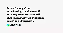 Более 2 млн руб. за погибший урожай озимой пшеницы в Волгоградской области выплатила страховая компания «Согласие»