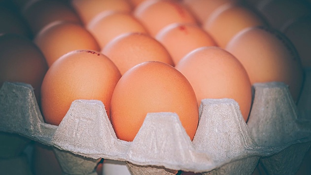 Зафиксировано снижение цен на яйца