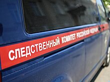 СК требует отправить бизнес-коуча Портнягина под домашний арест