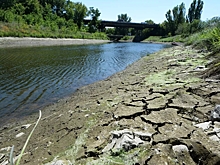 В РАН сообщили о планах переброски воды из северных рек в Донбасс