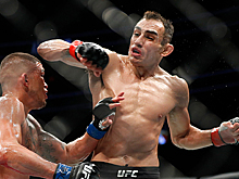 Большой спорт возвращается. UFC проведет крупнейший турнир в истории в разгар пандемии коронавируса