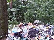 В лесах Подмосковья убрали более 800 навалов мусора