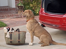 BMW запустил б/у рекламу для б/у автомобилей