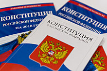 Путин предложил гражданам проголосовать по поправкам в Конституцию
