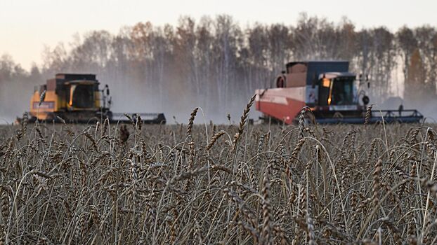 В России начались проблемы со сбором урожая