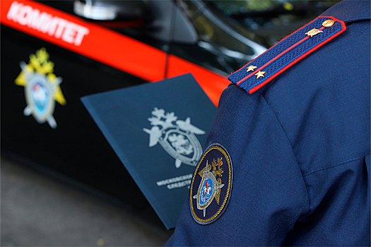 Бастрыкин взял на контроль дело о грабеже новосибирца таксистом-мигрантом