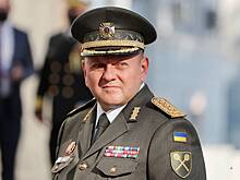На Украине сообщили о попытках офиса Зеленского отговорить Залужного от участия в выборах