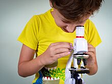 Детскую силиконовую долину создадут в Костроме