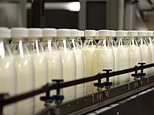 Нейросеть помогла выявить нарушения при производстве молочных продуктов на Камчатке