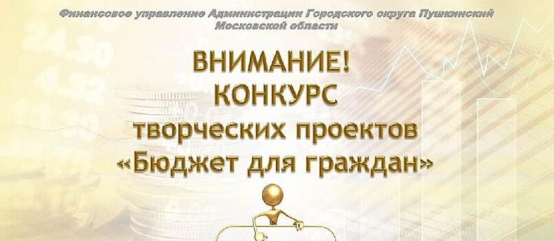 Жителей Пушкинского приглашают на конкурс творческих проектов «Бюджет для граждан»