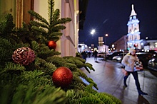 Эксперт Контур.Торги: Лидером по закупкам новогодних елок в России стал Санкт-Петербург