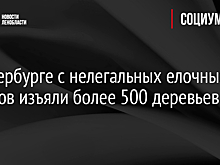 В Петербурге с нелегальных елочных базаров изъяли более 500 деревьев