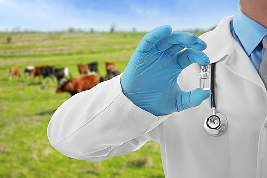 За 5 лет на закупку ветсредств в РФ выделили более 17 млрд