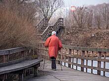 В России высказались об идее увеличить выплаты к пенсии в два раза