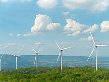 Человечество призвали отказаться от поспешных «похорон» целей по климату