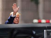Стало известно о планах Трампа встретиться с Зеленским в Риме