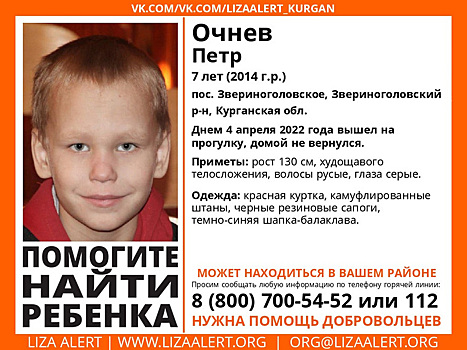 Курганские волонтеры свернули штаб по поиску пропавшего мальчика