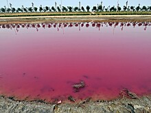 Озеро Юньчэн в Китае окрасилось в цвета радуги