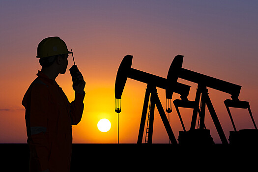 В Японии высказались о вторичных санкциях за покупку российской нефти