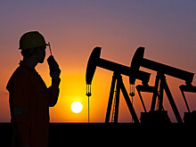 В Японии высказались о вторичных санкциях за покупку российской нефти