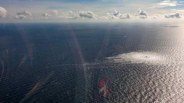 В Европарламенте объяснили возможный мотив США для взрыва «Северных потоков»