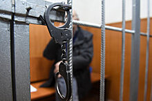Матвиенко надеется, что Дума вскоре примет закон о запрете клеток в судах