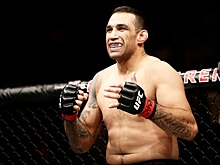 Алексей Олейник — Фабрисиу Вердум: прогноз и ставка на бой UFC 249