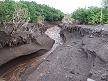 Четыре сломанных ребра и порванная селезенка: под Омском мужчина упал в овраг, получив множество травм