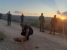 Палестинские боевики выкопали тоннель и сбежали из тюрьмы в Израиле