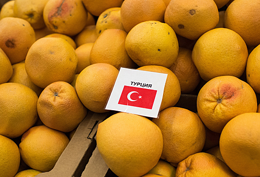 Турция заявила о первых поставках цитрусовых в РФ