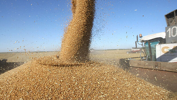 Власти ЛНР заявили о старте экспорта зерна в РФ по железной дороге