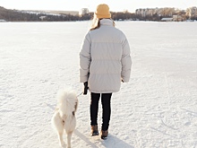 Россиян предупредили о штрафах за выход на лёд