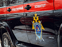 Сотрудники СК задержали двух работников Росалкогольтабакконтроля