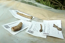 На раскопках под Смоленском нашли предметы 10 века
