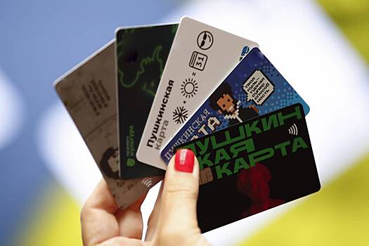 Россиянам напомнили о возможности бесплатно организовать досуг на зимних каникулах