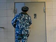 Родственника трех хулиганов отправили в колонию после обращения к сотруднику УФСБ