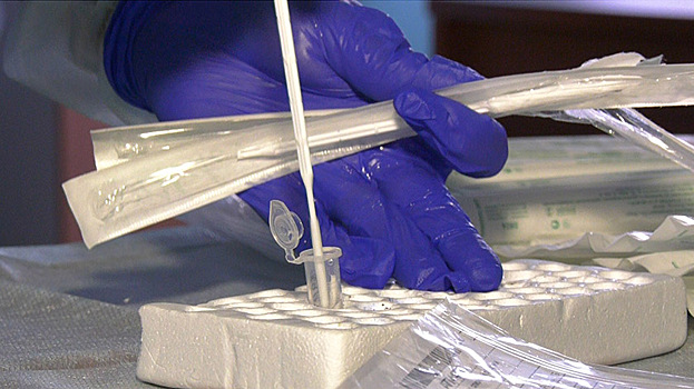 Медики подтвердили «омикрон» у одного из жителей Югры