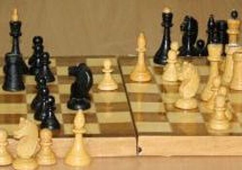 Шахматный турнир пройдет в Музее Горького 20 июля