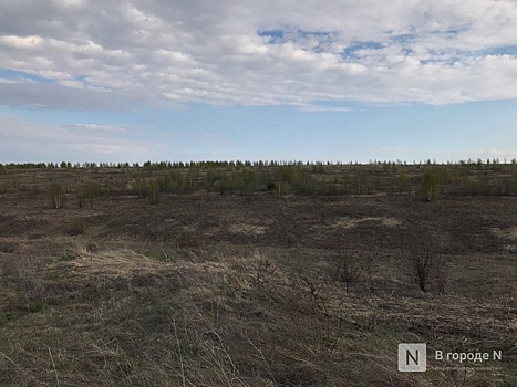 Избыток марганца и цинка в почве выявили в Нижегородской области